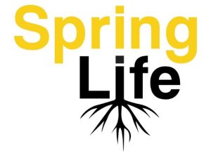 spinglife